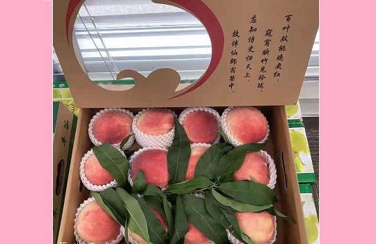 北京韋林公司為員工發(fā)放防暑降溫福利 北京韋林公司為員工發(fā)放防暑降溫福利